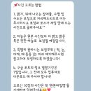 서울숲 야외 웨딩스냅 <노블리스냅>후기