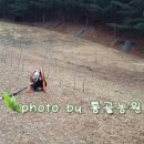 산속농원 이미지