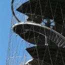 아이퍼피 이미지