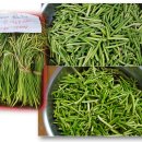 착한살림협동조합 이미지