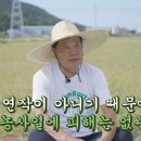 신안축구장 축구장 | [3분 요약] 🌎지구를 지키는 농부 릴레이 인터뷰 시즌4🌎| EP.4 전남 신안 쌀 (친환경 쌀, 친환경 보리편)