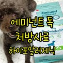 펫츠다이닝 에미넌트 다이어트 독 하이포알러제닉(가스트로인테스티얼) 처방사료 2.5kg 급여 후기