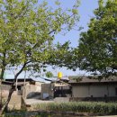 동도 경로당 이미지