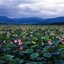 늘 좋은생각 이미지