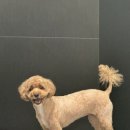 라떼멍살롱 이미지