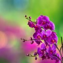 한강대로 | 한강대로 서울역 꽃배달 찾는 분들이 가장 많이 실수하는 이유