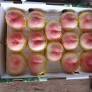 병준농장 이미지