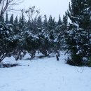 정읍농장 이미지