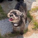 무지개독 이미지