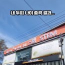 주식회사 셀스타