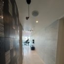 팔레드시즈 이미지