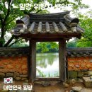 예안향교공중화장실 | 밀양 위양지 백일홍 만개 여름 꽃 명소 밀양 반값 여행