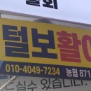 털보활어
