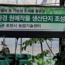 선봉농장 이미지
