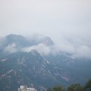 닷새 이미지