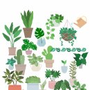 나의 정원 이미지