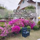 드림레이크펜션 이미지