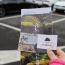 월정거리주유소 | 제주도렌트카 타고 떠난 가을 여행 해안도로 팁까지 완벽하게 알려드릴게요 🍁