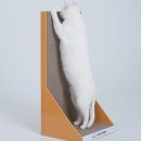 멍냥이노리터 이미지