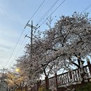 우이천 산책로 | [수유] 꽃구경도 식후경 우이천 산책로 앞 짬뽕전문점 텐텐하오 솔직후기