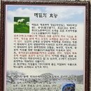 인천/계양, 메밀막국수 메밀부침과 보쌈 내돈내산 또간맛집 홍장표 동해막국수