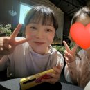 다연축사 네이버블로그