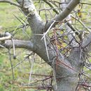 (주)나무 이미지