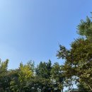 한림어린이공원 이미지