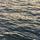 맨하탄호스텔 | 소소한 을왕리 나들이_ 240907