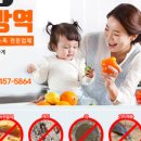 싹잡아방역 이미지