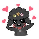 언니네 애견미용실 이미지