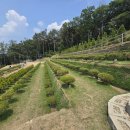 일산목장 이미지