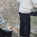 연천 마트 | 연천 에어비앤비 독채펜션 후기