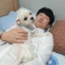 후니피자 - 남구 | 후니피자