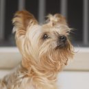 클러스터라운드 이미지