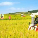 이승현농장 이미지