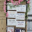 라비에나뷰티