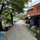 들꽃산장 | 지리산 산청 계곡 평상 들꽃산장 내 돈 내산 후기