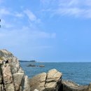 대바위 | 부산 근교 물놀이 스노쿨링 스팟 명소 울산 대바위공원(주차정보)