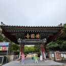 불국사 | 경주 불국사 방문 후기 신라의 불교 예술이 살아 숨쉬는 세계문화유산