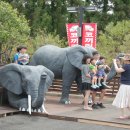 점보빌리지 이미지