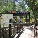 강촌포도팬션&캠핑장 이미지