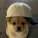 한마디