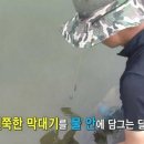 장어의힘 이미지