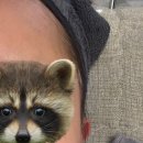 닥터오의원 이미지