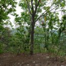 서동골농장 이미지