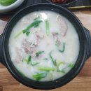 진주참가마