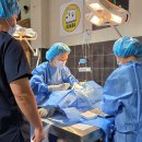 THE힘찬동물병원 이미지