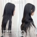 붙이다니 이미지