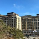 하늘과 소나무 | [제천 레스트리 리솜] S30(호텔형) 소나무 숲 뷰 겨울 전망 &amp; 객실 후기(방2/거실/욕실2, 5인(최대7인)